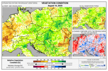 Dopady na vegetaci - Evropa - 16. srpen 2020