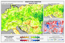 Dopady na vegetaci - Evropa - 22. srpen 2021