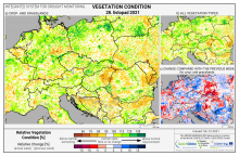 Dopady na vegetaci - Evropa - 28. listopad 2021