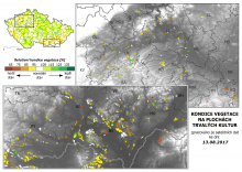 Vegetace trvalých kultur - 13. srpen 2017