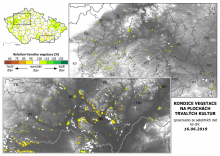 Vegetace trvalých kultur - 16. červen 2019