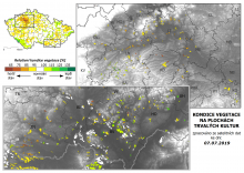 Vegetace trvalých kultur - 7. červenec 2019