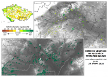 Vegetace trvalých kultur - 28. únor 2021