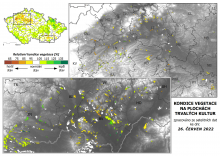 Vegetace trvalých kultur - 26. červen 2022