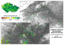 Vegetace trvalých kultur - 31. březen 2024
