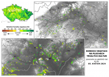 Vegetace trvalých kultur - 5. květen 2024