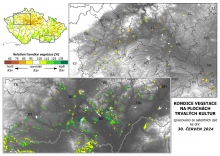 Vegetace trvalých kultur - 30. červen 2024