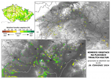 Vegetace trvalých kultur - 20. červenec 2024