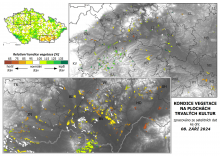 Vegetace trvalých kultur - 8. září 2024
