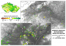 Vegetace trvalých kultur - 17. listopad 2024
